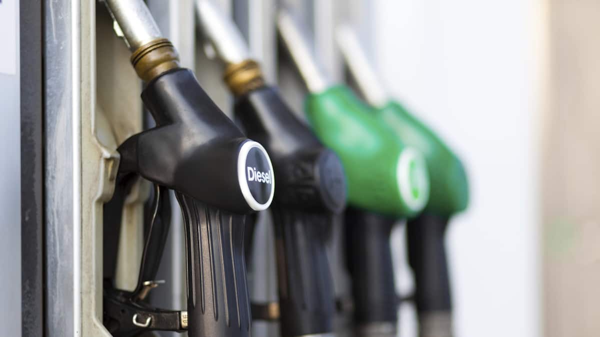 Diesel oder Benziner? Beobachter