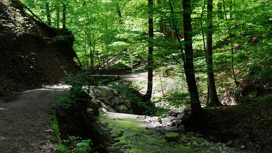 Auf zur Beton-Safari