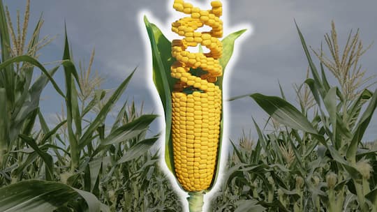 Die totale Gentechnisierung