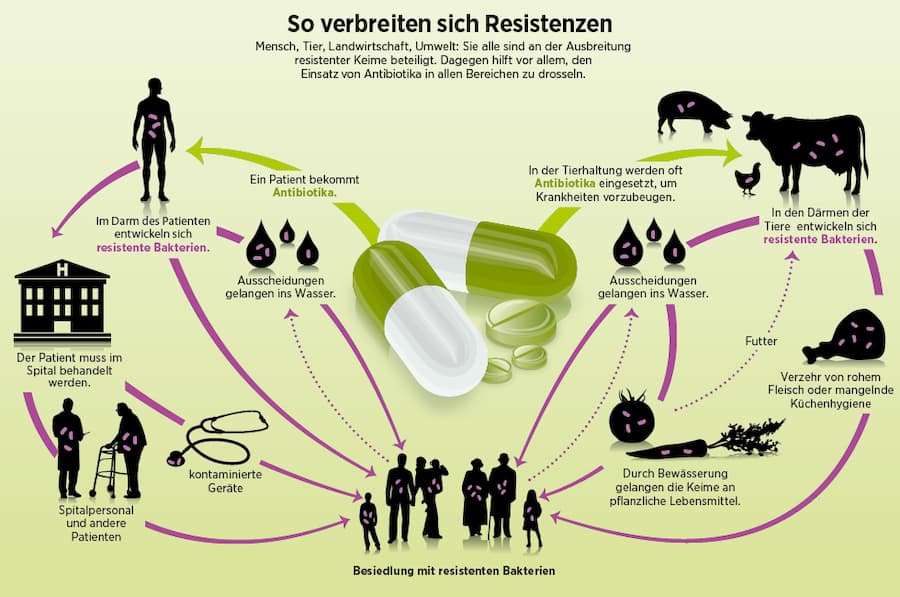 Grafische Darstellung, wie sich Resistenzen verbreiten.