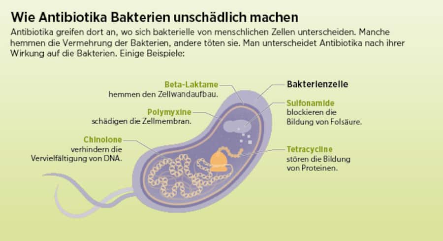 Grafische Darstellung, wie Antibiotika wirken.