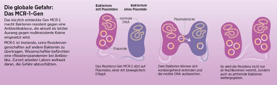 Grafische Darstellung des MCR-1-Gens.