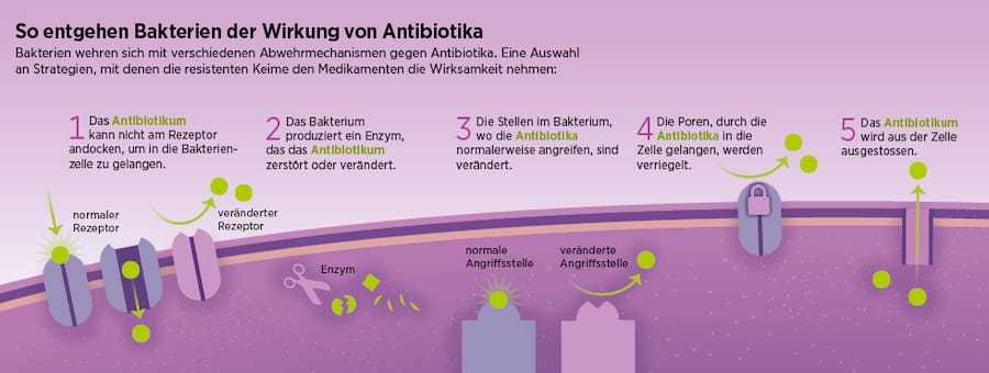 Grafische Darstellung, warum Antibiotika nicht mehr gegen Keime wirken.