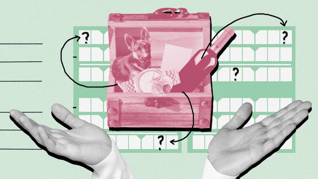 So versteuern Sie Wertvolles richtig In einer geöffneten Holzkiste befindet sich eine teure Uhr, ein Ring, eine Flasche Wein und ein Hund. Auch wertvolle Habseligkeiten müssen in der Steuererklärung angegeben werden – oder etwa doch nicht?