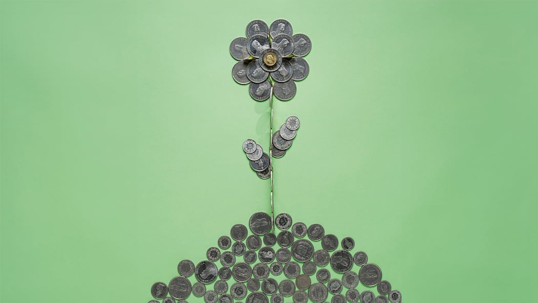 Nachhaltig anlegen: Drei Strategien Viele wollen ihr Geld umweltverträglich investieren. Das Angebot ist gross, aber nicht immer sauber. Eine Beobachter-Auswahlhilfe. Blume aus Schweizer Geldmünzen