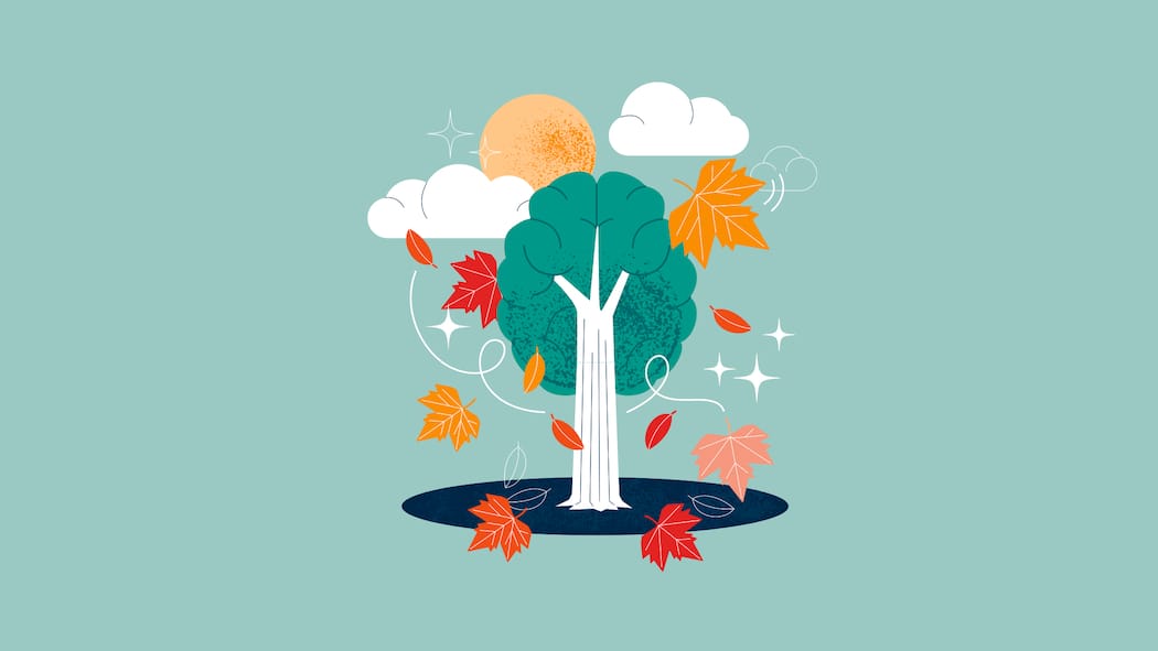 Das hilft gegen den Herbstblues Ein Baum mit Laub rundherum, einer Sonne und zwei Wolken vor grünem Hintergrund - Fünf Gründe, warum die Natur gegen das Herbsttief hilft.