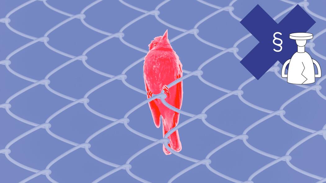 22-Jähriger sollte neun Monate ins Gefängnis – zu Unrecht Collage-Illustration mit einem Vogel hinter Gitter und dem Fehlbefehl-Preis
