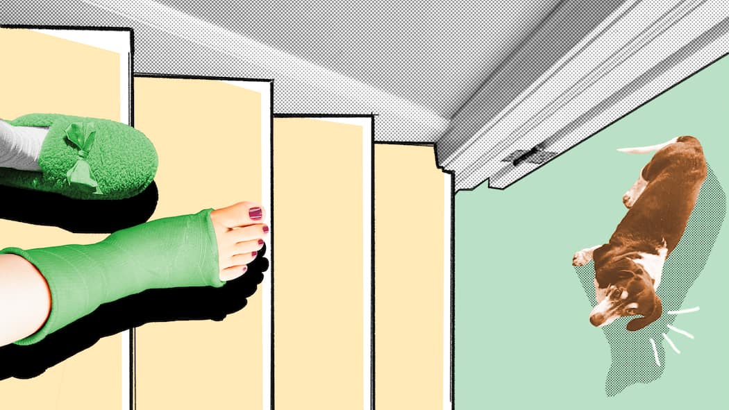 Unfall im Homeoffice – wer zahlt? Ein Fuss im Gips aus der Vogelperspektive auf einer Treppe, vor dem ein Hund steht. Wer zahlt, wenn man im Home Office verunfallt.