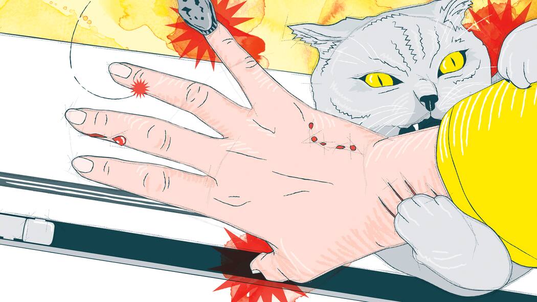 Verletzt – das ist jetzt zu tun Eine gezeichnete Hand mit eingeklemmtem Finger und einer Katze, die sie beisst. Wie man sich bei kleinen Notfällen im Alltag verhält.