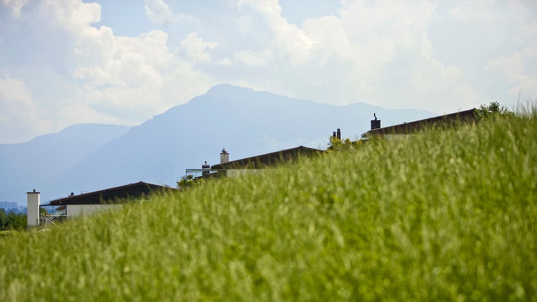 Warum Eigenheimbesitzer bald mehr zahlen müssen  Bild von drei Einfamilienhausdächern hinter einem Hügel.