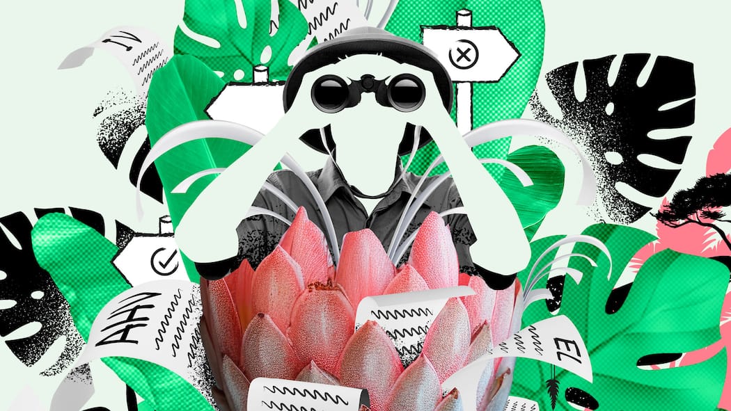 Haben Sie Anspruch auf Geld? Illustration Sozialhilfe-Dschungel; Wer findet den Weg durch den Sozialhilfe-Dschungel? Ein dichtes Netz oder ein undurchdringlicher Dschungel? Wer möglicherweise Anspruch auf staatliche Unterstützung hat, sollte genau wissen, welche Rechte er oder sie hat. Der Beobachter sagt, was gilt.