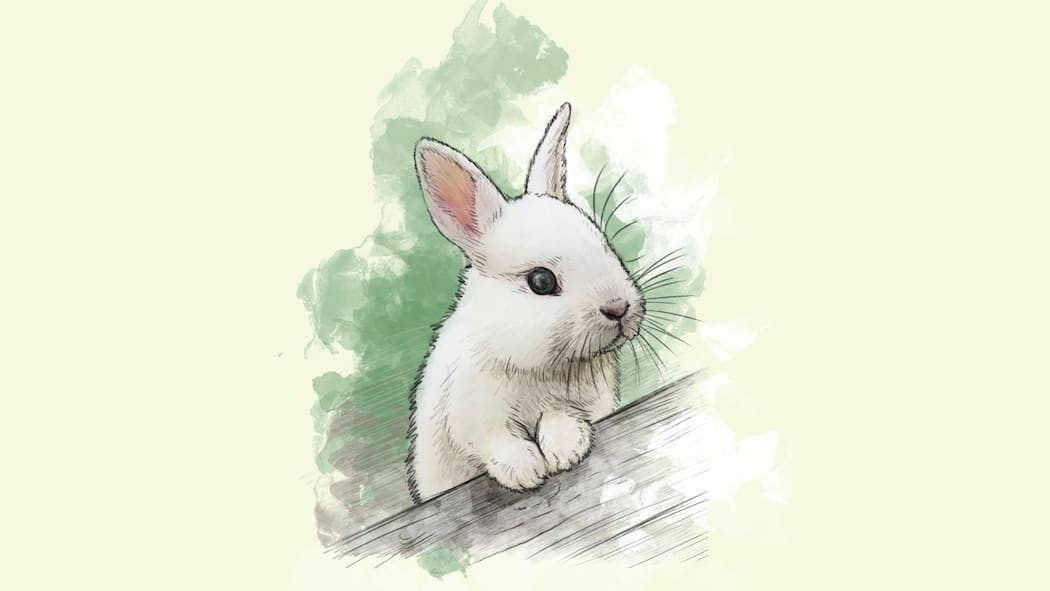 So fühlt sich das Häsli pudelwohl Ein gemaltes weisses Kaninchen. Welche Tiere ganzjährig draussen gehalten werden können