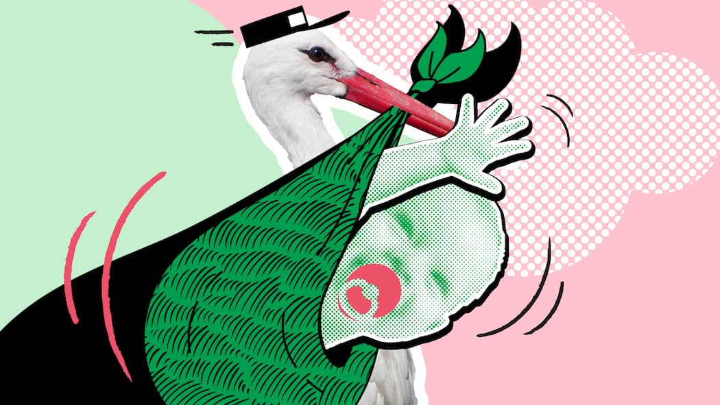 Mit privater Samenspende zum Wunschkind? Ein Storch mit Kurierhut trägt einen Sack, aus dem ein Baby mit pinkem Schnuller guckt, vor rosa und grünem Hintergrund. Welche gesetzlichen Hürden bestehen, wenn man alternative Wege sucht, um ein Kind zu bekommen.