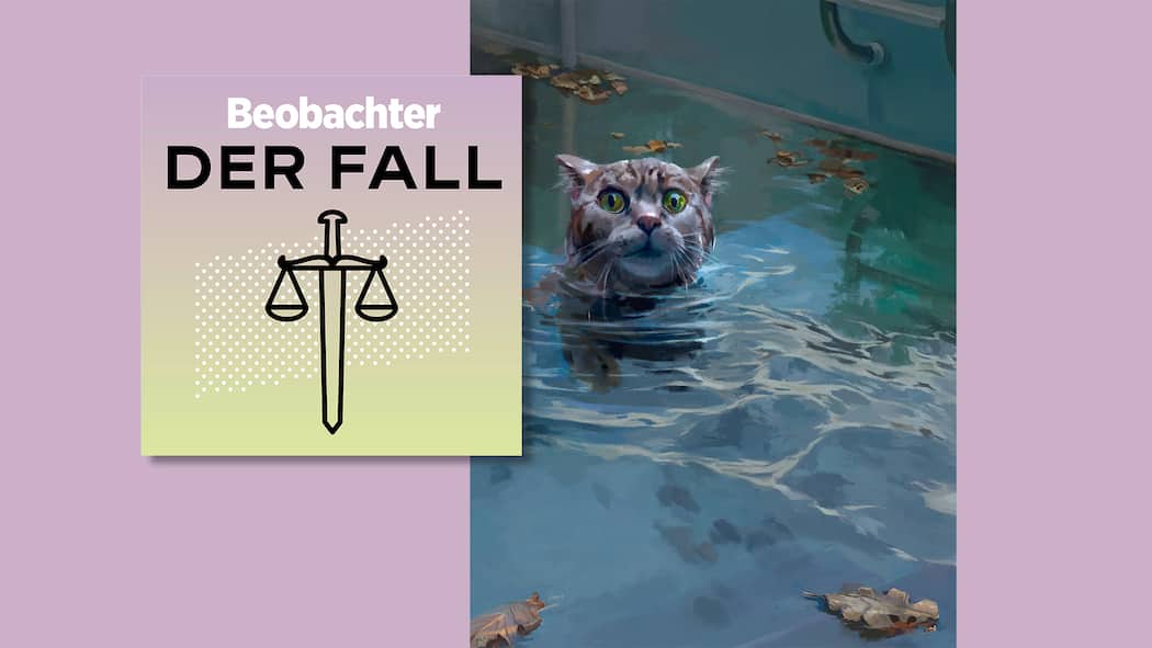 Warum musste Streifli sterben? Kater Streifli ertrinkt in Nachbars Pool