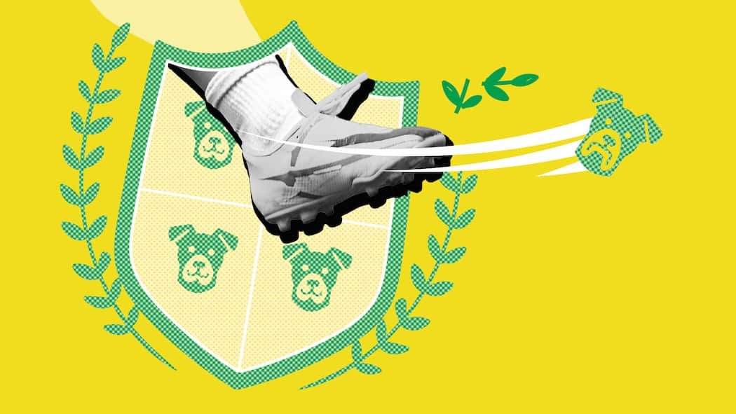 Den Vereinsschreck rausschmeissen? Das geht – manchmal Ein Fuss mit Stollenschuh kickt durch ein Wappen mit Hundegesichtern ein Gesicht fort - Wie man nervige Vereinsmitglieder loswird.