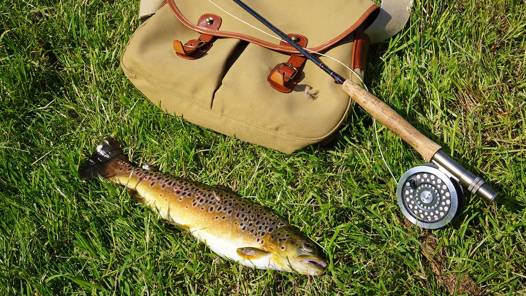 Ein Zustupf zum Fischerpatent Brown trout lying in grass beside fishing rod and bag