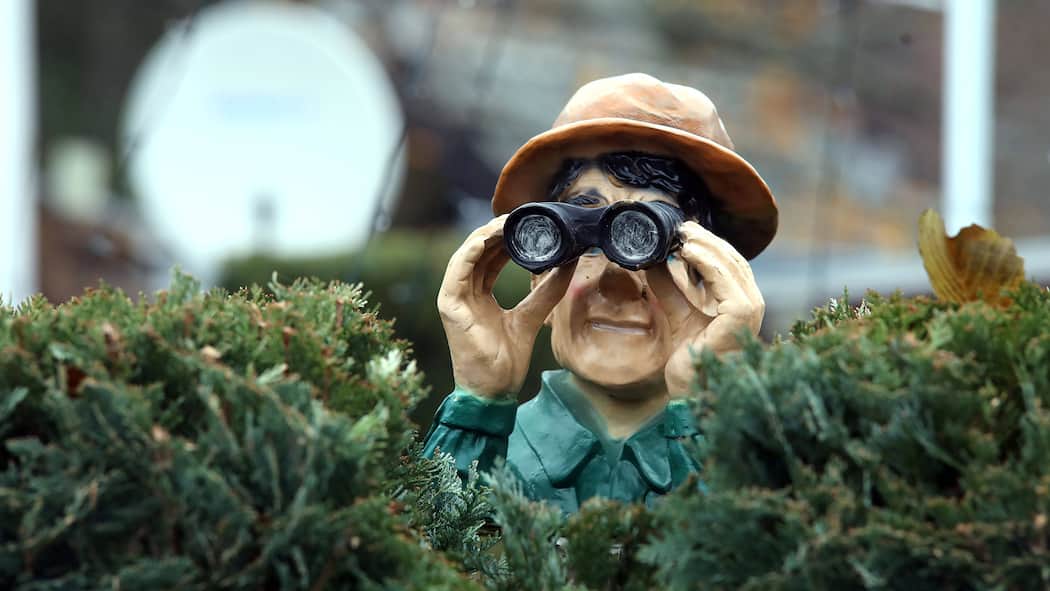 3 Behauptungen über die Kesb Eine Dekofigur mit Hut und Fernglas schaut über eine Hecke auf ein nicht sichtbares Grundstück.