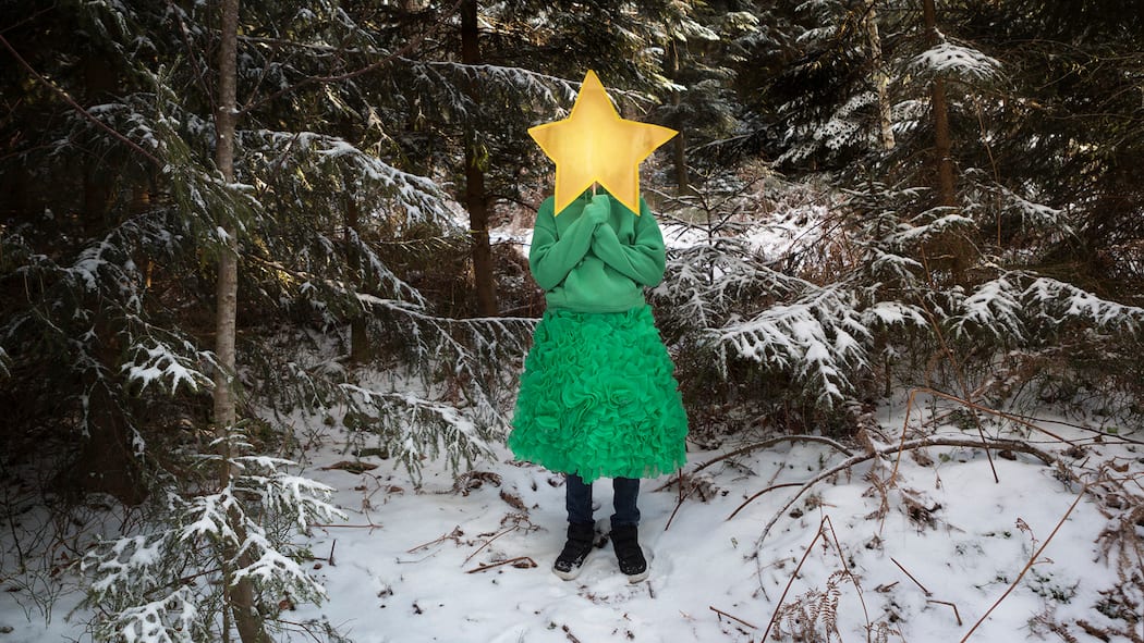 Warum wünschen wir uns eigentlich frohe Festtage? Ein Kind , gekleidet wie ein grüner Weihnachtsbaum, hält sich einen Weihnachtsstern vors Gesicht und steht in einem verschneiten Tannenwald.