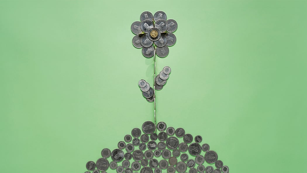 So legen Sie Ihr Geld nachhaltig an Viele wollen ihr Geld umweltverträglich investieren. Das Angebot ist gross, aber nicht immer sauber. Eine Beobachter-Auswahlhilfe. Blume aus Schweizer Geldmünzen