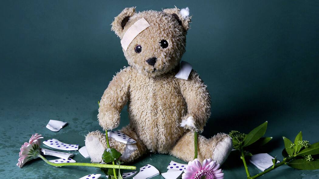 Ist bei der Kesb jetzt alles paletti? Teddybär: 10 Jahre Kesb - wie geht es der einst umstrittenen Behörde?