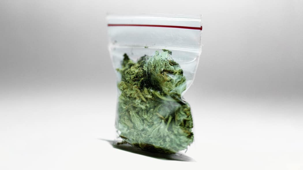 Der CBD-Kater Beutel mit Hanfblüten