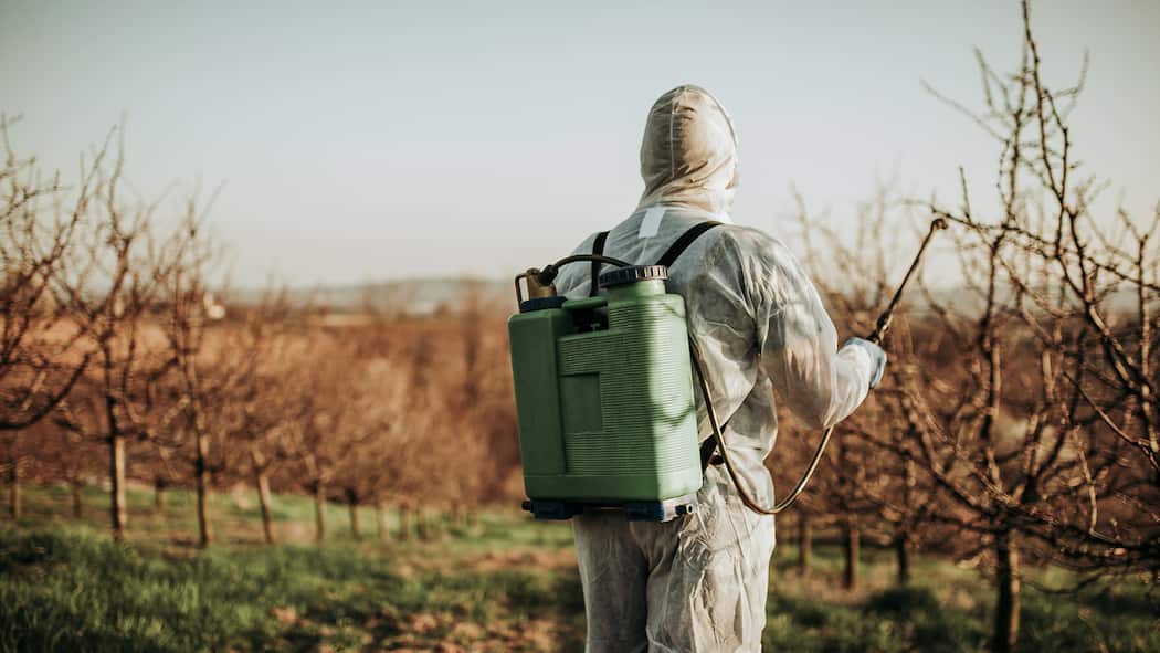 Amtlich bewilligtes Nervengift Mann spritzt Obstbäume
