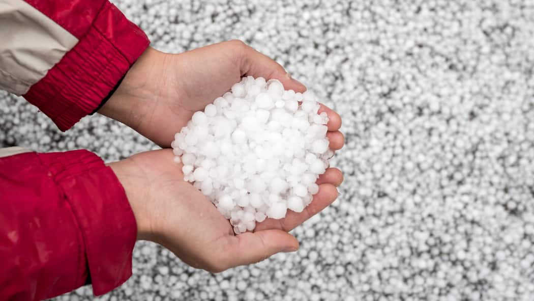 Zahlt die Versicherung? Eine Person nimmt einen Haufen Hagelkörner, die auf einer Wiese liegen, in die Hände.