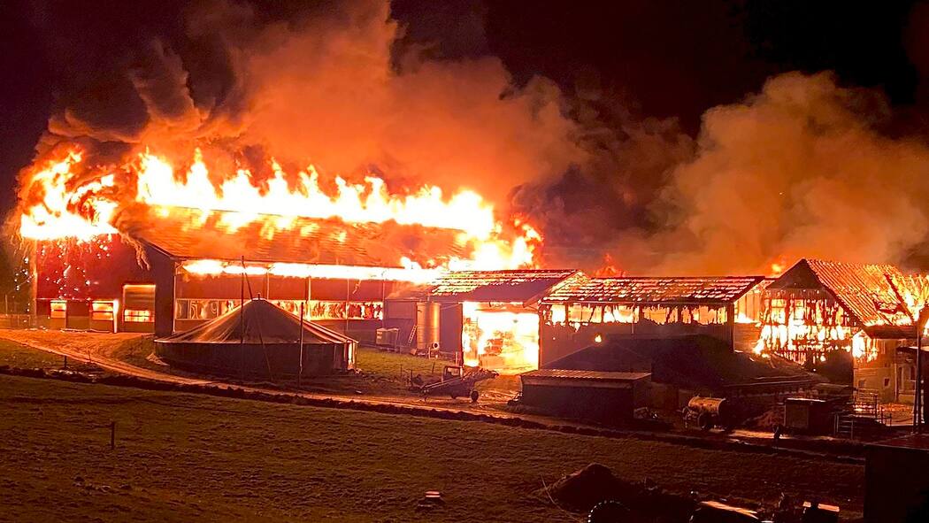 Hunderte Tiere sterben in den Flammen Brand auf einem Bauernhof in Rothenhausen TG am 1. Februar 2021