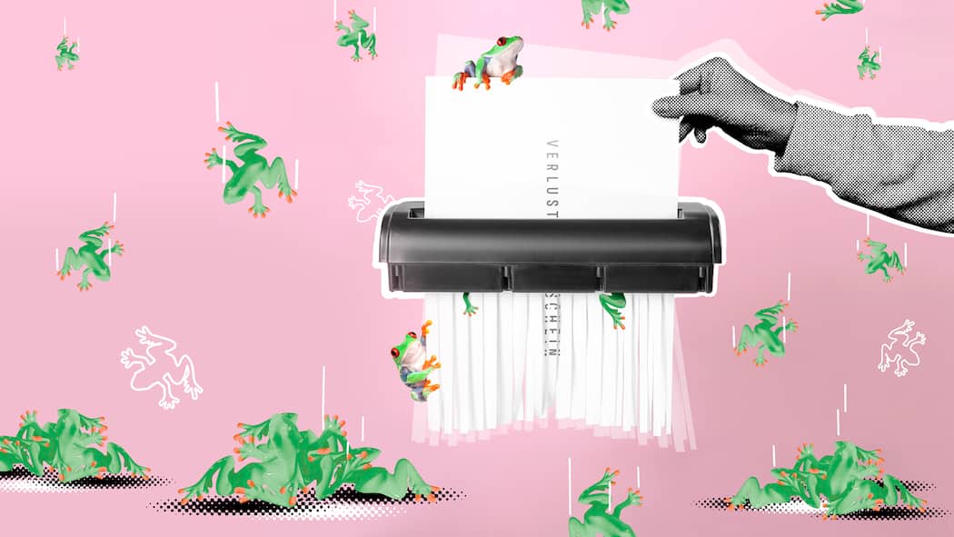 Hilfe, ein Verlustschein – so werden Sie ihn wieder los Papier mit der Aufschrift "Verlustschein" wird durch einen Aktenvernichter geschoben vor rosa Hintergrund. Verlustscheine stellt das Betreibungsamt aus, wenn jemand nicht zahlen kann.