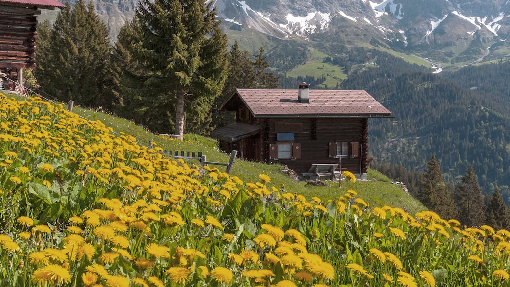 «Das ist wie ein schlechter Witz» Maiensäss Guora oberhalb von Seewis in Graubünden