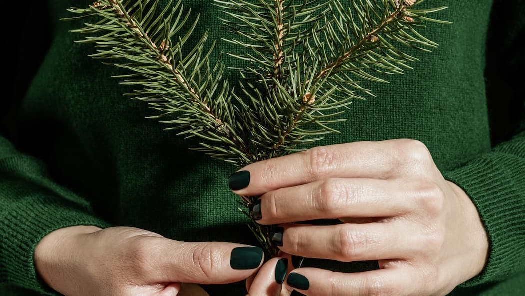 5 ungewöhnliche Last-Minute-Geschenkideen Frauenhände mit einem Tannenzweig: Alternative Geschenkideen