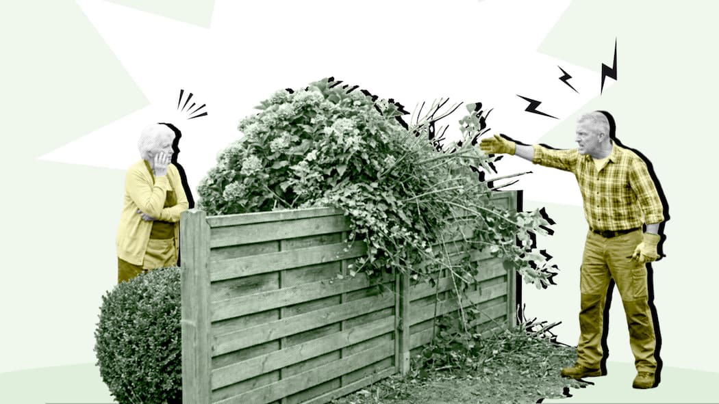 Pflanzen-Abstand zu Nachbars Garten: Das gilt in Ihrem Kanton Zwei Nachbarn streiten an einem Grenzzaun - Ist der Baum des Nachbarn zu nahe an Ihrem Grundstück? Der Beobachter zeigt, welches Gesetz in Ihrem Wohnkanton gilt