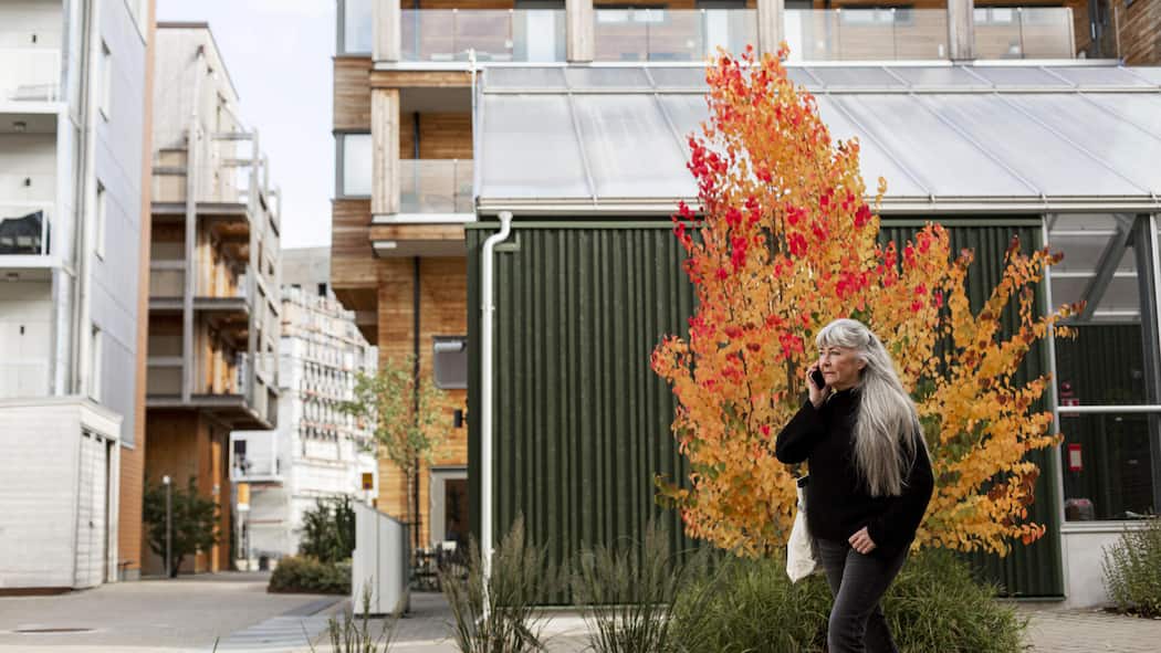 Zürcherin bombardiert das Bundesgericht mit 15 Beschwerden Nachbarschaftsstreit eskaliert: Eine Zürcherin reichte zuletzt 15 Beschwerden gleichzeitig beim Bundesgericht ein. (Symbolbild)