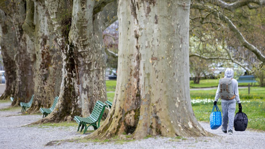 Keine U-Haft für Obdachlosen – Gericht muss neu entscheiden Obdachloser in einem Park - Ein obdachloser, psychisch kranker Mann ist nicht immer erreichbar. Das genügt nicht, um ihn in Untersuchungshaft zu stecken, entscheidet das Bundesgericht