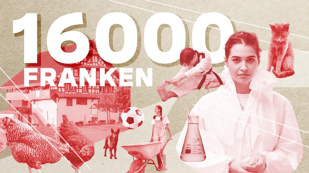 «Wir haben fünf Kinder und leben von 16’000 Franken im Monat» Collage mit Chemikerin, Hund und Judokämpferin - Die Kinder sollen es gut haben, unnötige Ausgaben vermeiden die Eltern aber konsequent. Für die Beobachter-Serie legt die Familie ihr Budget offen