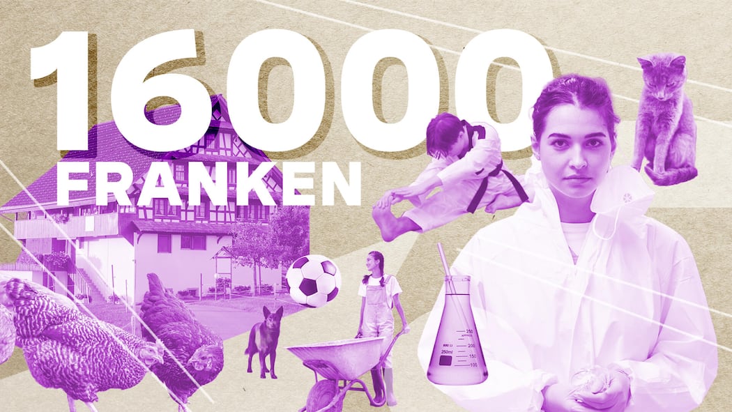 «Wir leben von 16’000 Franken im Monat – mit fünf Kindern» Collage mit Chemikerin, Hund und Judokämpferin - Die Kinder sollen es gut haben, unnötige Ausgaben vermeiden die Eltern aber konsequent. Für die Beobachter-Serie legt die Familie ihr Budget offen