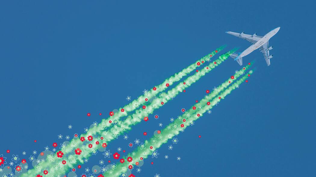 So finden Sie seriöse Projekte zur CO₂-Kompensation Flugzeug