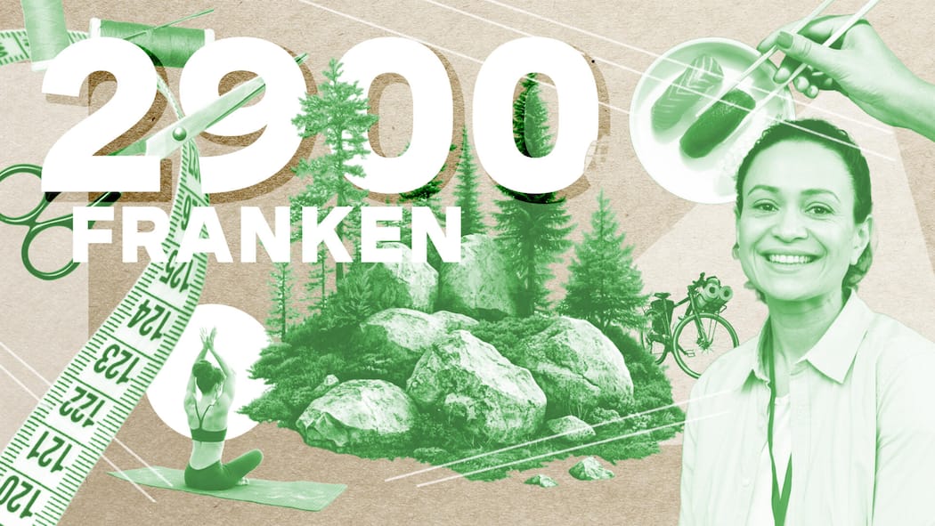 «Sechs Monate nach meiner Diagnose blieb der Lohn aus» Collage mit Frau und Natur - Carmen Steg arbeitet Teilzeit und studiert nebenbei. Weil sie Krebs hat, ist sie seit sieben Monaten krankgeschrieben. Für die Beobachter-Serie «Die Abrechnung» legt sie ihr Budget offen