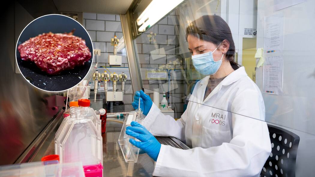 Der Burger aus dem Labor Forscherin im Labor von Mirai Foods / links im Kreis: Prototyp eines fertigen Burgerfleisches aus dem Hause Mirai Foods