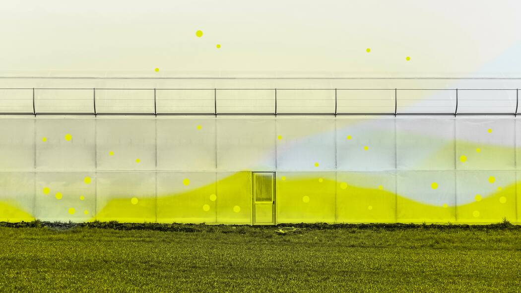 Das sind die Methoden der Chemie-Lobby Gewächshaus Kanton Zürich mit gelbem Overlay. Im Kampf gegen ein weitreichendes PFAS-Verbot in der EU mischen sich auch Schweizer Firmen und Verbände ein. Das sind ihre Strategien.