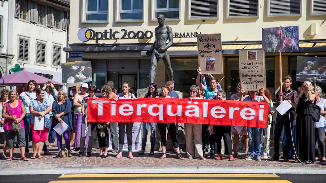 Die umstrittenen Methoden der radikalen Tierschützer Tierschützer demonstrieren in Frauenfeld, nachdem die Bilder im «Blick» den Fall ins Rollen gebracht haben.