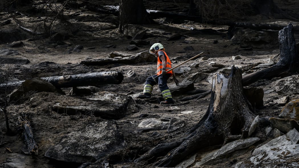 «Waldbrände sind für die Biodiversität ein Segen» Des pompiers continuent d'eteindre le feu de l'incendie de foret au-dessus de Bitsch/Ried-Moerel le vendredi 28 juillet 2023 a Bitsch dans le Haut-Valais. (KEYSTONE/Jean-Christophe Bott)