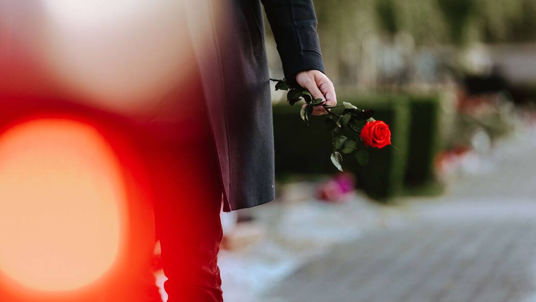 Weniger Diskriminierung für Witwer Man in the cemetery holding a red rose in his hand