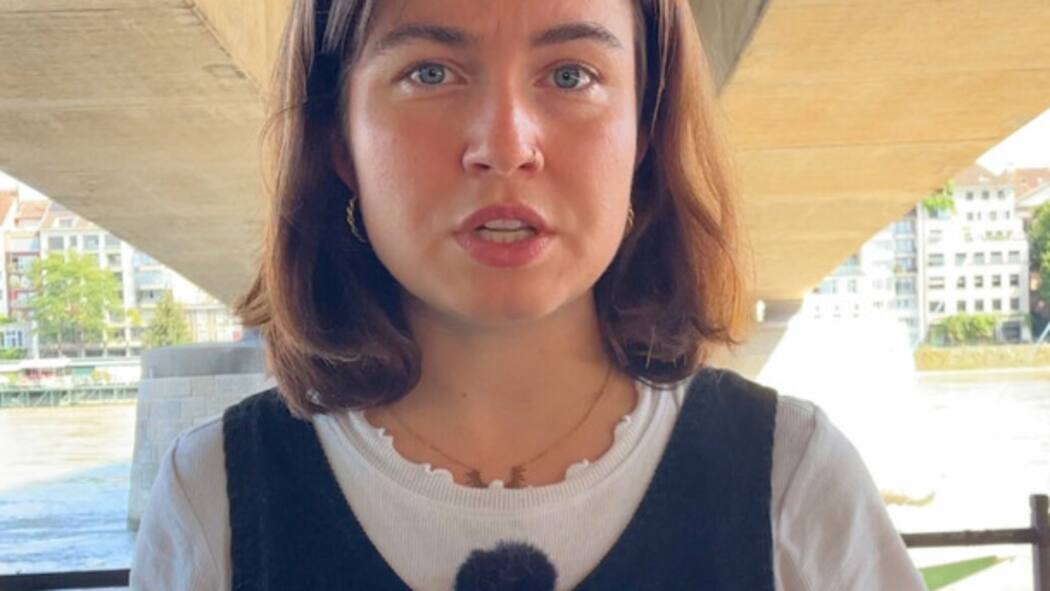 Die Reichsbürger und der Schweizer Journalist Verschwörungstheorie: Die Reichsbürger und der Schweizer Journalist