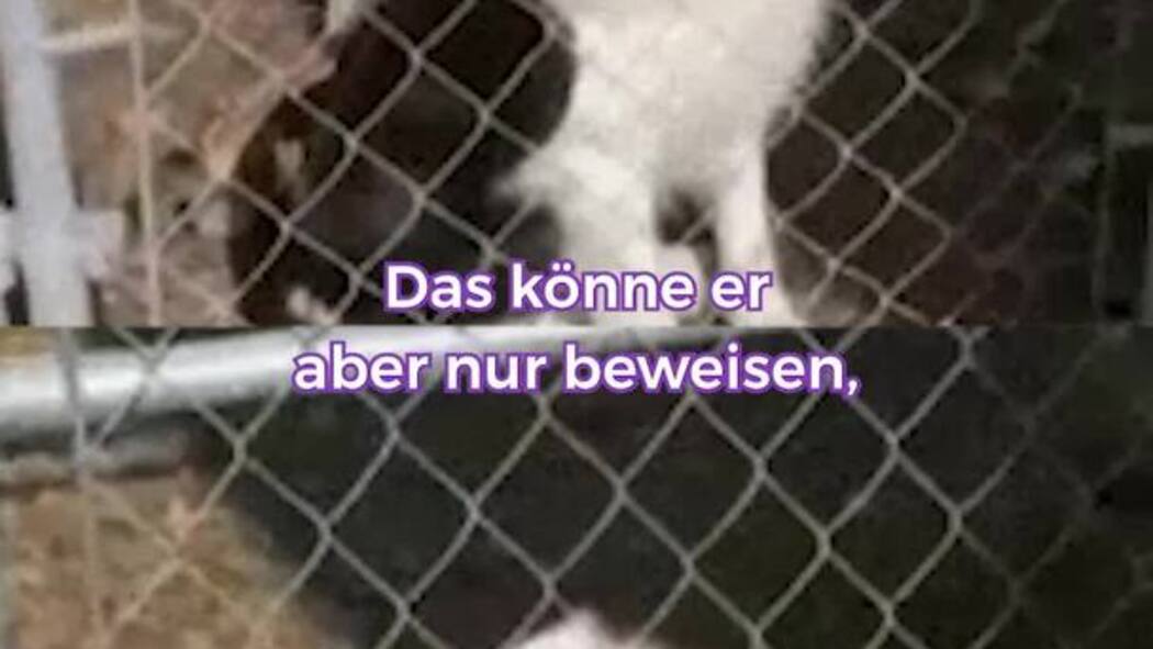 Ausgang für Sexualstraftäter? Kurzer Prozess: Ausgang für Sexualstraftäter?