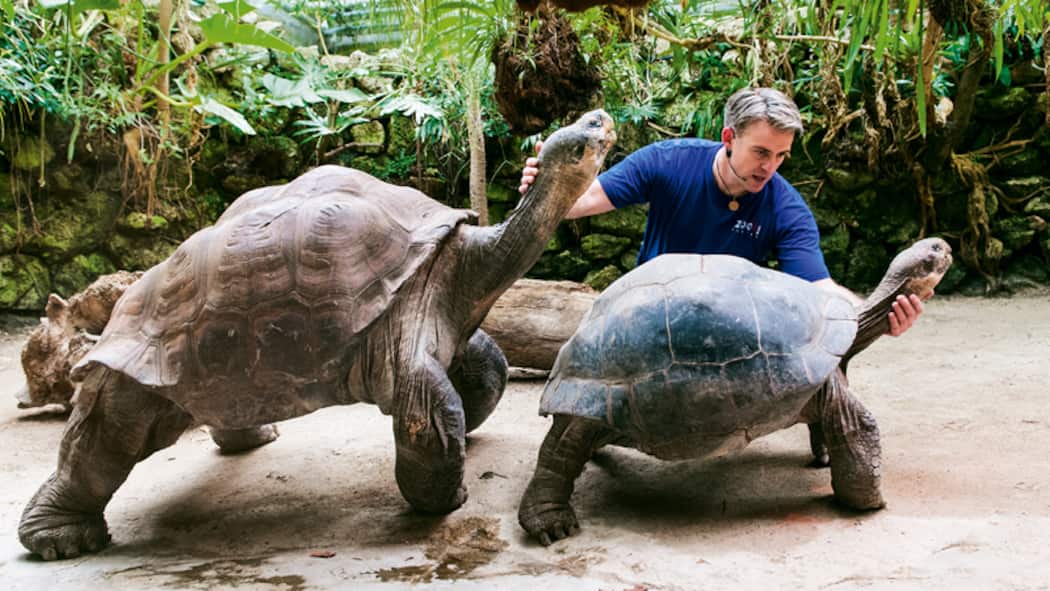 Harte Schale, sensibler Kern Harte Schale, sensibler Kern