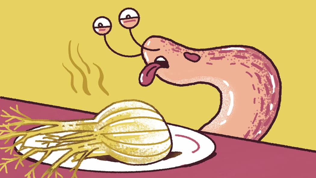 Der ultimative Endgegner im Gemüsebeet Illustration Schnecke mit Fenchel auf dem Teller - Von Gemeinen Gartenwegschnecken, ihrer Arroganz und was die Mutter unseres Autors gegen die nackten Kriecher tut