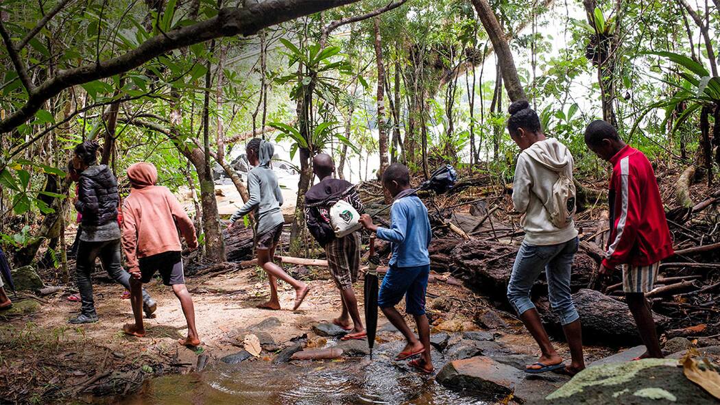 Das bedrohte Paradies Masoala