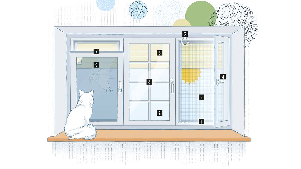 So behalten Sie den Durchblick Illustration eines Fensters