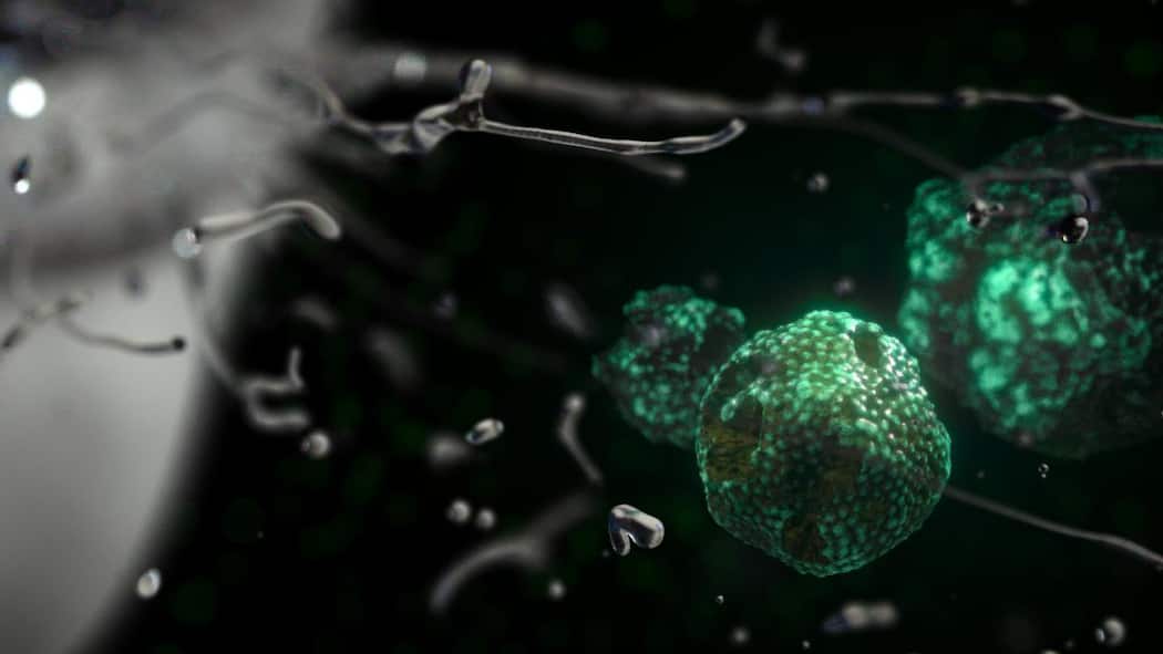 Wie sich Viren im Büro verbreiten Wie sich Viren im Büro verbreiten